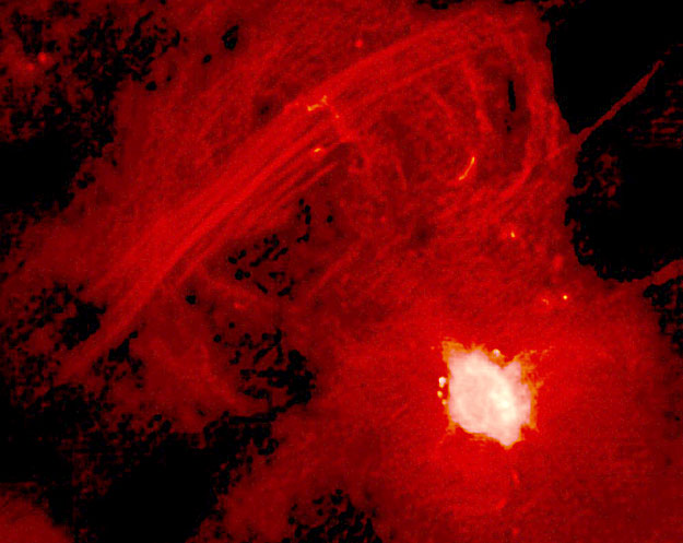 apod_2005_93_20190227_1574117449.jpg